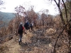 Incêndio Caratuva