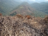 Incêndio Caratuva