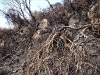 Incêndio Caratuva