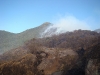Incêndio Caratuva