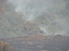 Incêndio Caratuva