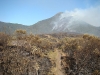 Incêndio Caratuva