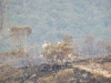 Incêndio Caratuva