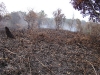 Incêndio Pedra Branca