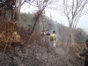 Incêndio Pedra Branca