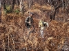 Incêndio Pedra Branca