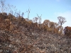 Incêndio Pedra Branca