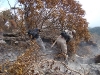 Incêndio Pedra Branca