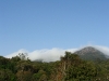 Reflorestamento Anhangava
