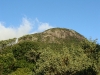 Reflorestamento Anhangava